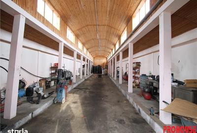Spațiu comercial, de 400 mp, în Letea Veche - 8