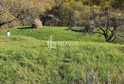 Teren de 7000 mp, în Sălciua