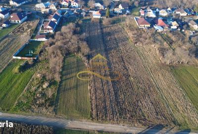 Teren de 2500 mp, în CFR