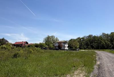 Teren Construcții intravilan de 7500 mp, în Brănești - 4