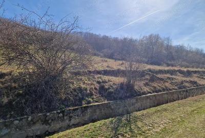 Teren de 3664 mp, în Cuvin - 5