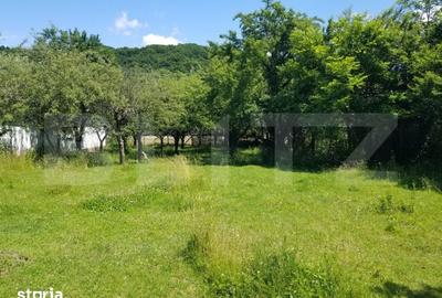 Teren de 2966 mp, în Lunca - 1
