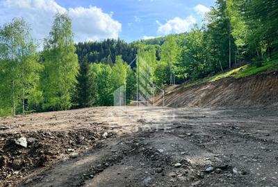 Teren Construcții extravilan de 18000 mp, în Exterior Sud - 28
