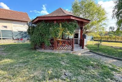 Casă cu 6 camere cu Canalizare în Buziaș - 4