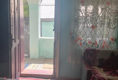 Casă individuală cu 2 camere cu Teren 3800 Mp în Berislăvești - 8