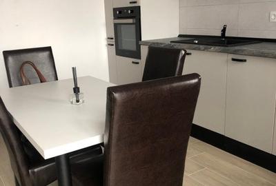 Apartament cu 2 camere nedecomandat, mobilat în Exercițiu - 12