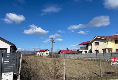 Teren Construcții intravilan de 3712 mp, în Sud - 3