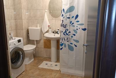 Apartament cu 3 camere decomandat, mobilat în Dudu - 8