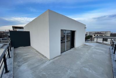 Duplex cu 4 camere cu Canalizare în Palazu Mare - 27