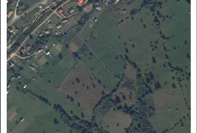 Teren de 10994 mp, în Ceahlău