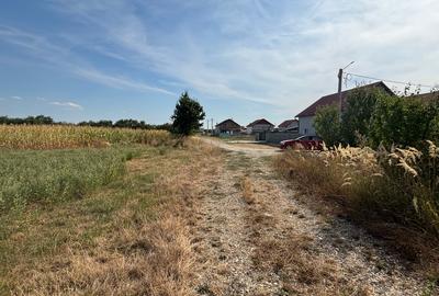 Teren Construcții extravilan de 10000 mp, în Știuca