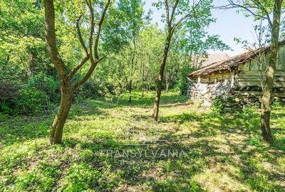 Casă cu Teren 1368 Mp în Livada (Petreștii de Jos) - 7