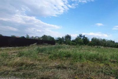 Teren de 500 mp, în Șerbănești - 5
