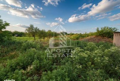 Casă cu 4 camere cu Teren 1439 Mp în Central