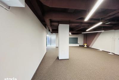Spațiu comercial, de 330 mp, în Trei Stejari - 11