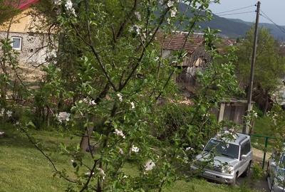 Teren de 1000 mp, în Jiblea Veche - 5