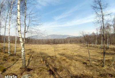 Teren de 1000 mp, în Central