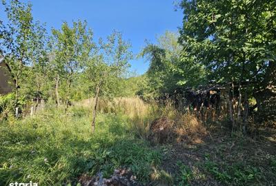 Casă cu 3 camere cu Teren 8338 Mp în Dobra