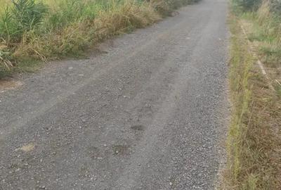 Teren de 2500 mp, în Odoreu