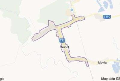 Teren de 9195 mp, în Nucet - 1