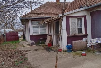 Casă cu Teren 1439 Mp în Chișlaz - 3