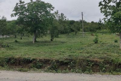 Teren de 14251 mp, în Podgoria