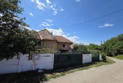 Casă cu Teren 2200 Mp în Curtișoara