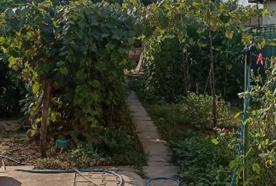 Casă cu 4 camere cu Teren 863 Mp în Lilieci