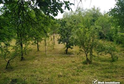 Casă individuală cu 4 camere cu Canalizare în Sâncraiu - 19