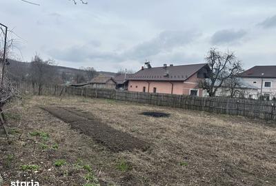 Teren de 1304 mp, în Bradu - 3