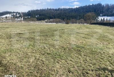 Teren de 12500 mp, în Poiana Stampei - 4