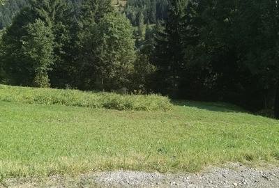 Teren de 1780 mp, în Central - 3