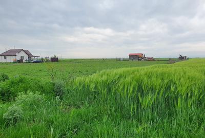 Teren Construcții intravilan de 9300 mp, în Tărlungeni - 1