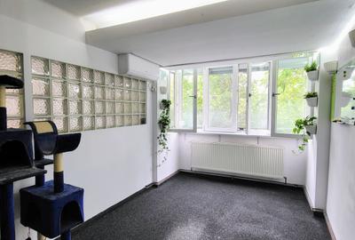 Apartament cu 2 camere decomandat în Dristor - 13