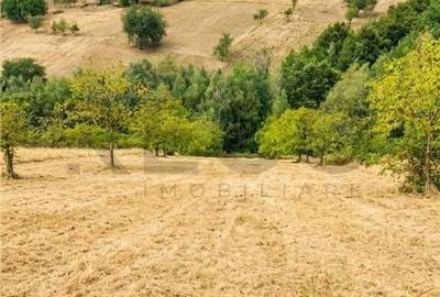 Teren de 15372 mp, în Șinteu