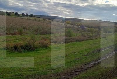Teren de 1760 mp, în Baciu
