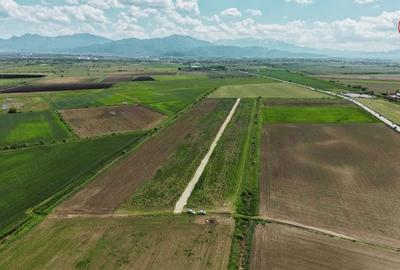 Teren de 500 mp, în Stupini