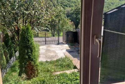 Casă cu Teren 520 Mp în Sălicea - 4