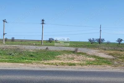 Teren de 3940 mp, în Cosmești - 4