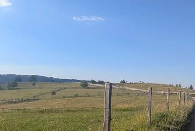 Teren de 3300 mp, în Măguri - 8