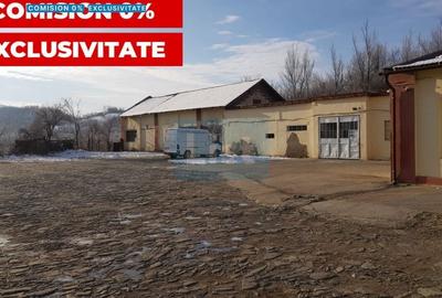 Spațiu industrial, de 600 mp, în Doman