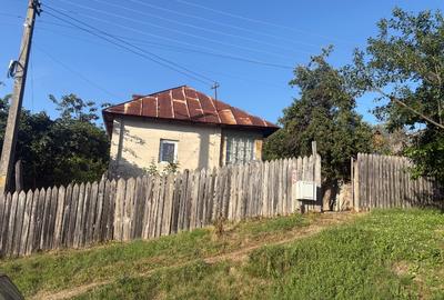 Casă individuală cu 3 camere cu Teren 4500 Mp în Chirculești - 7