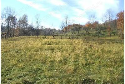 Teren de 1000 mp, în Drăgăneasa - 6