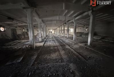 Spațiu industrial, de 1,880 mp, în Orțișoara - 2