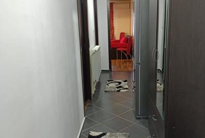 Apartament cu 2 camere semidecomandat în Valea Lupului - 3