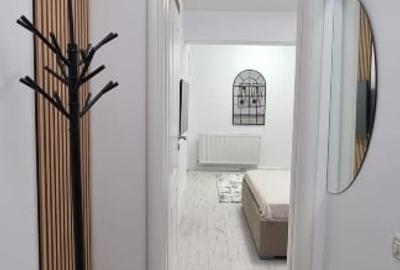 Apartament cu 2 camere decomandat, mobilat în Parcul Carol - 4