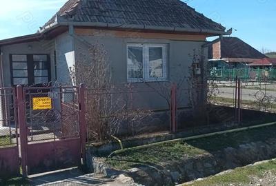 Casă cu 3 camere cu Teren 994 Mp în Central - 1
