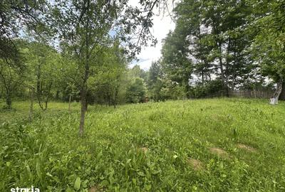 Teren de 2400 mp, în Telega - 8