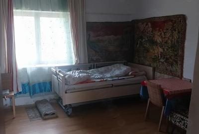 Casă cu Teren 2158 Mp în Comloșu Mare - 5