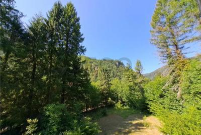 Teren de 1018 mp, în Pietroasa - 2